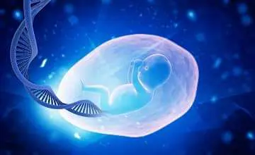 Fetal Genetics online course