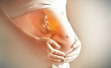 Fetal Growth online course