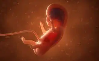 First Trimester Ultrasound online course